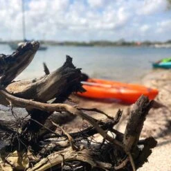 Pelican Sport Pulse 100X With Paddle Kayak -Pelican Store KOS10P102 00 LS4