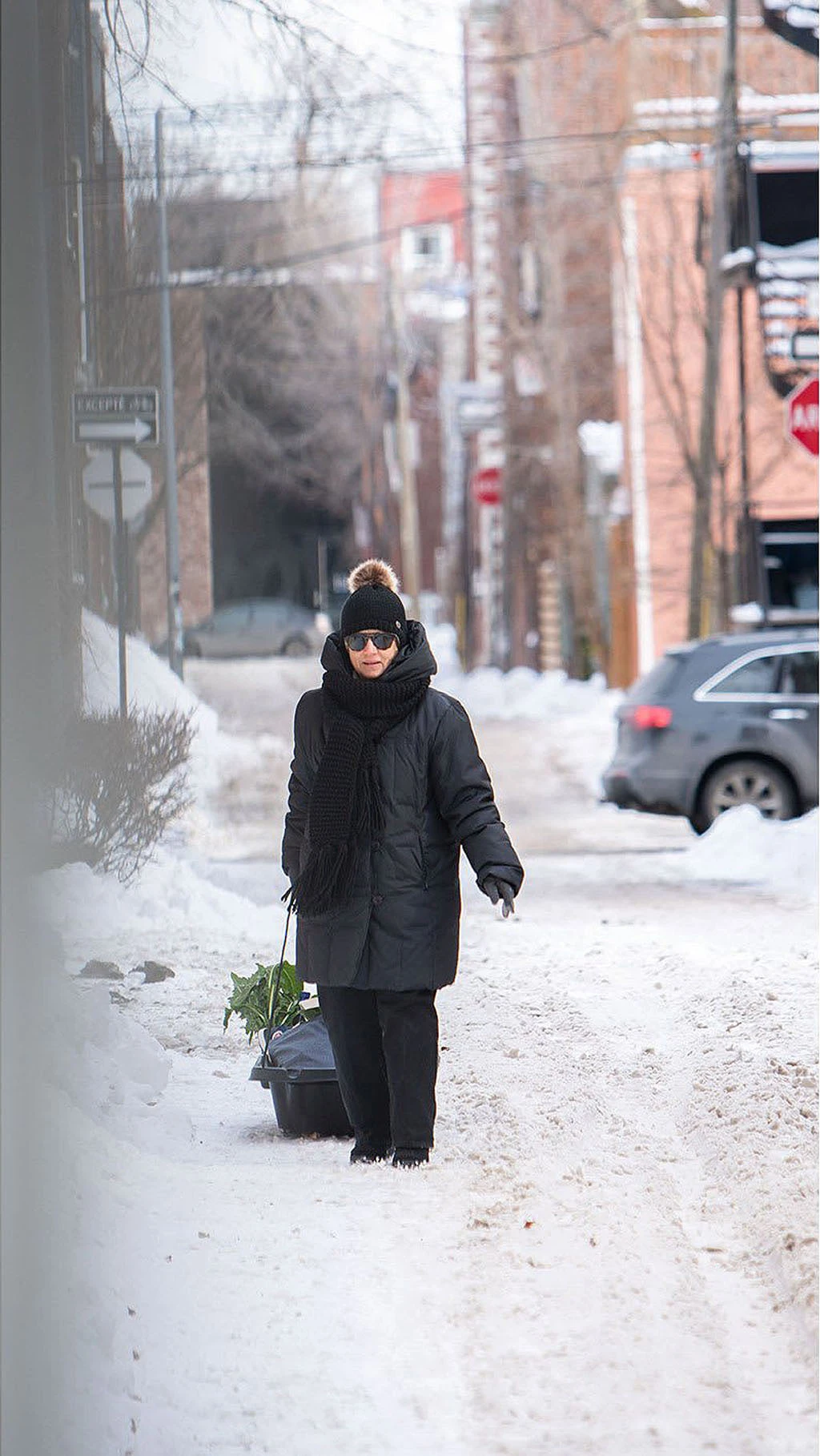 Trek 45 Utility Sled|-|Luge Utilitaire Trek 45 5 Trek 45 Utility Sled|-|Luge Utilitaire Trek 45 - Image 3