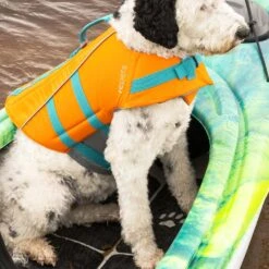 Standard Kayak Paddle - 220cm|-|Pagaie De Kayak Standard - 220cm -Pelican Store PLS PS1965 7E 7ELifestyle1 20Black